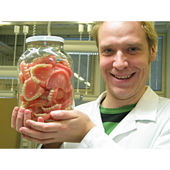 Copyright Reino Laukkanen.